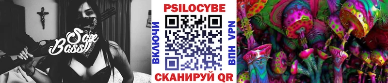 Псилоцибиновые грибы мицелий  Кропоткин 