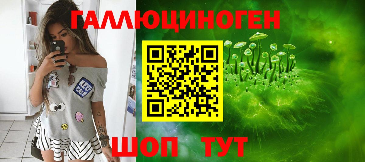 Галлюциногенные грибы Psilocybine cubensis Кропоткин